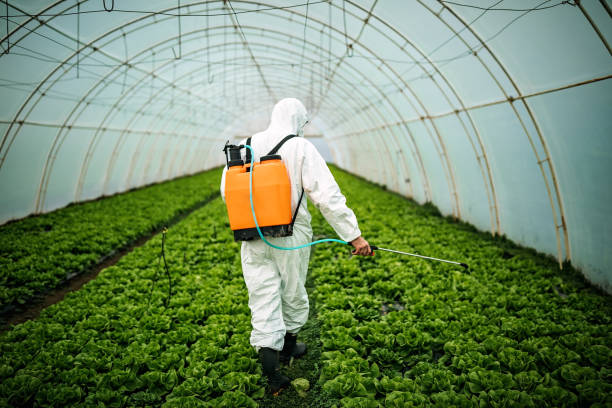 Best Affordable Pest Control Services  in Salem Lakes, WI