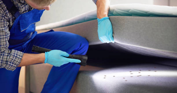 Best Termite Control Services  in Salem Lakes, WI