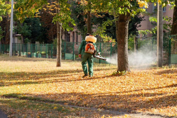 Best Rat Extermination Near Me  in Salem Lakes, WI